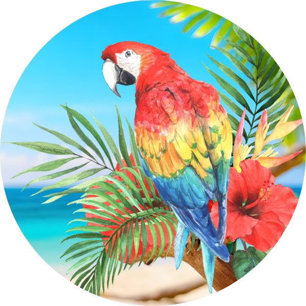 Parrot Metal Sign - Made in USA Online