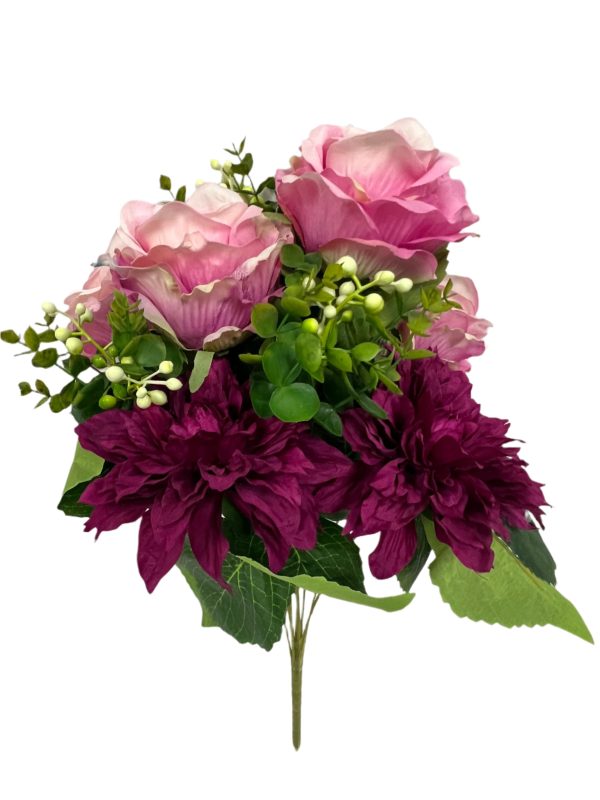 19 Inch Pink Fuchsia Dahlia Rose Bush x 10 Online